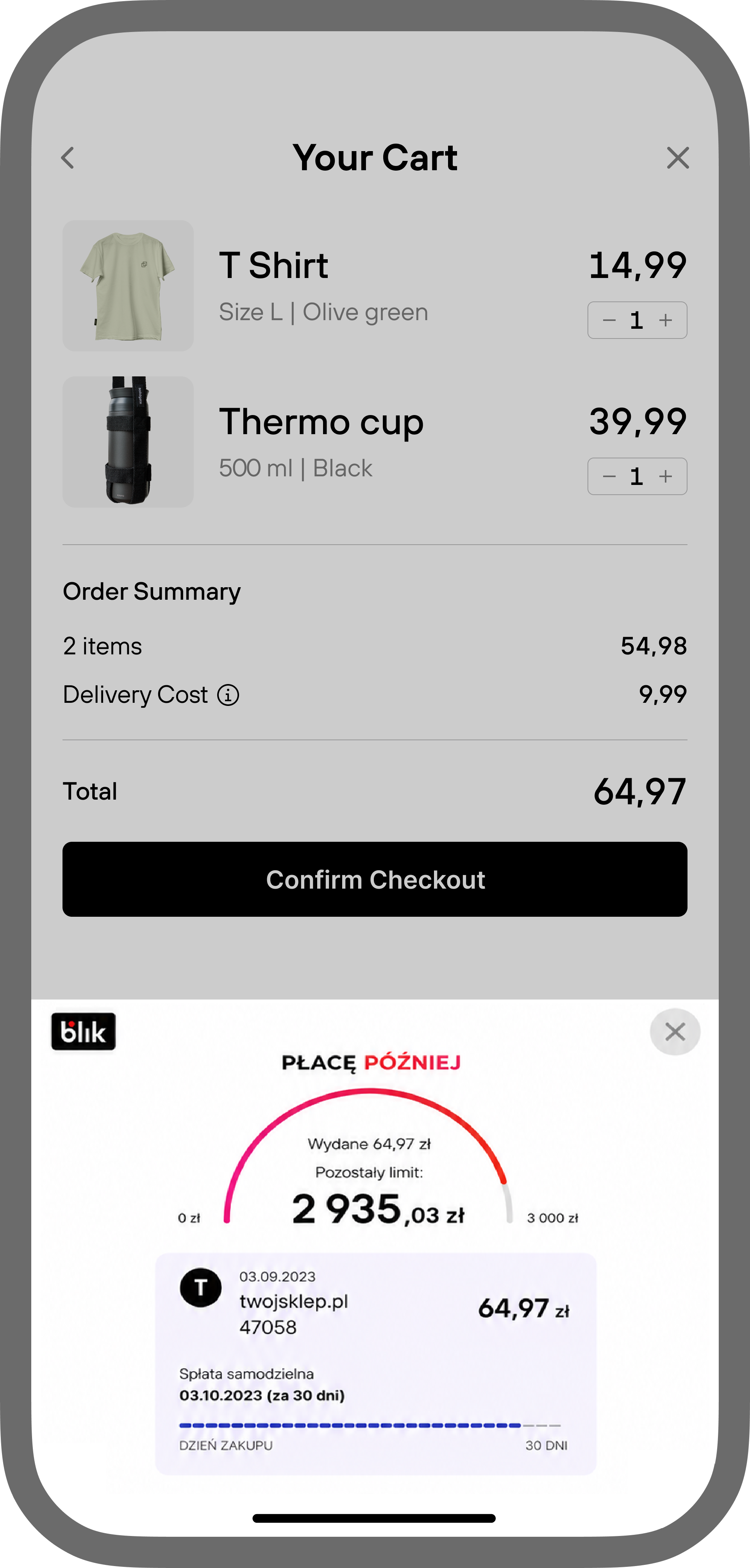 Blik payment page example